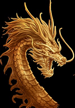 威龍透明裝飾素材