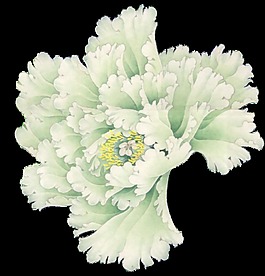 花卉工筆畫透明裝飾素材