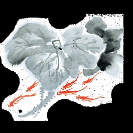 荷叶工笔画透明装饰素材