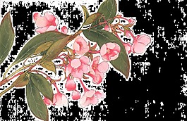 手繪逼真花卉透明裝飾素材