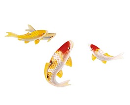 金色鲤鱼png元素