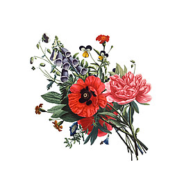 清新美麗紅色花朵花朵花束實(shí)物元素