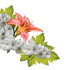 清新淡雅白色小花花朵花束實(shí)物元素
