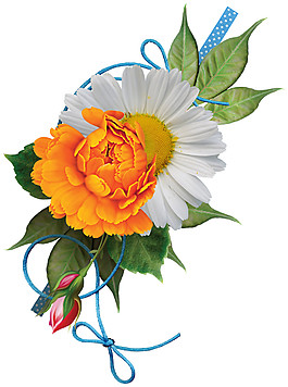 艷麗明亮橙色花朵花束實物元素
