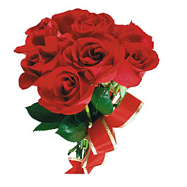 盛開鮮艷紅色玫瑰花花朵花束實(shí)物元素