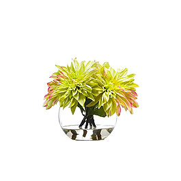 生機勃勃黃色菊花花朵花束實物元素