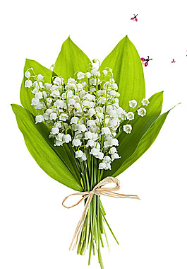 清新白色花朵花束实物元素