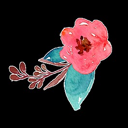 水彩紅色花卉素材