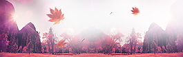 紫色清新森林系banner背景