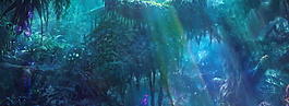 神秘清新森林系banner背景