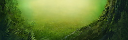 清新綠色森林系banner背景
