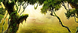 神秘熱帶森林系banner背景