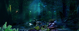 热带森林系banner背景