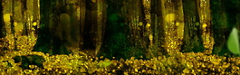 童话森林系banner背景