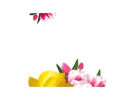 粉色黃色花骨朵插畫png元素