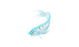 創(chuàng)意藍(lán)色水珠魚型png元素