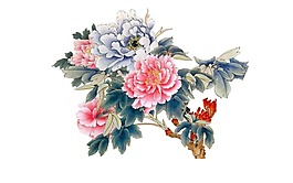 手繪彩色牡丹元素