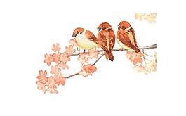 清新粉色花朵元素