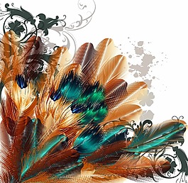 時尚唯美的羽毛插畫