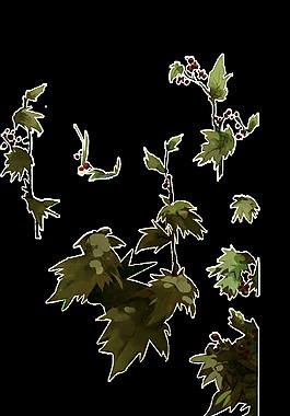 手绘一片片花果树叶透明素材