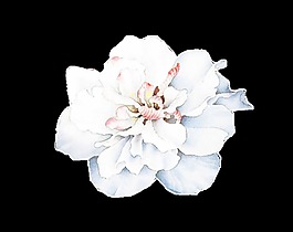 手繪一朵簡潔的花朵透明素材
