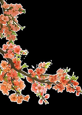 美麗茂盛的梅花樹枝透明素材