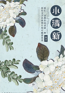 小清新日系文藝品牌促銷海報