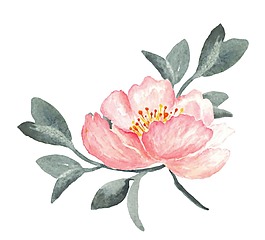 卡通手繪花朵png元素