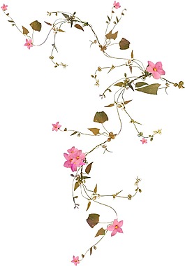 卡通粉色花朵葉子png元素