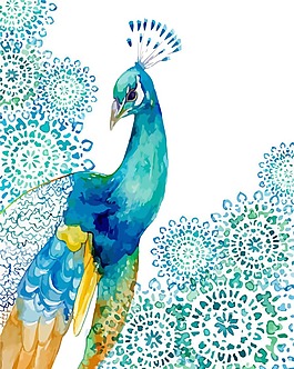 卡通藍(lán)色孔雀png元素