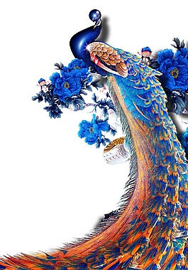 卡通彩色華麗孔雀png元素