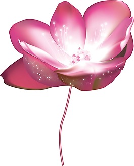 卡通粉色花瓣png元素