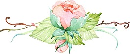卡通粉色花朵png元素