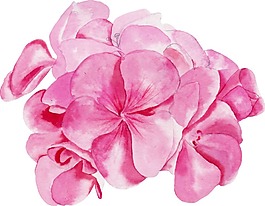 粉色花瓣花朵png元素