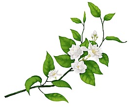 卡通白色鮮花綠葉png元素