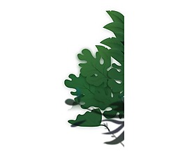 卡通清新綠色樹葉裝飾png元素