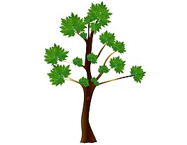 綠色楓樹卡通插畫png元素
