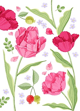 手繪唯美郁金香插畫
