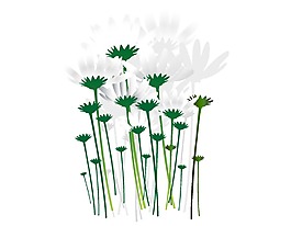 卡通蒲公英插畫png呀