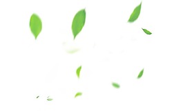 清新綠葉子插畫png元素