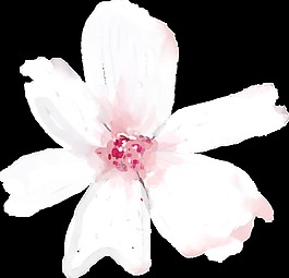 手繪半透明花卉PNG透明素材
