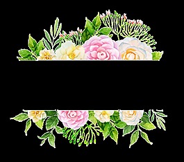 手繪鮮花花卉PNG透明素材