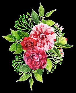 芍藥屬花卉PNG透明素材