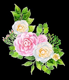 彩繪牡丹花PNG透明素材