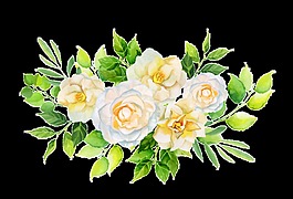 清雅茶花PNG透明素材