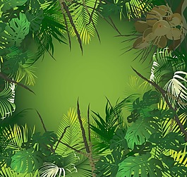 清新綠色植物插畫(huà)