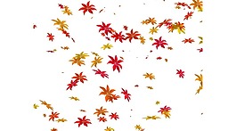清新紅色楓葉元素