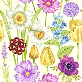 清新唯美的花卉插畫