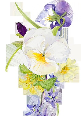 美麗清雅的紫花白花花束裝飾素材