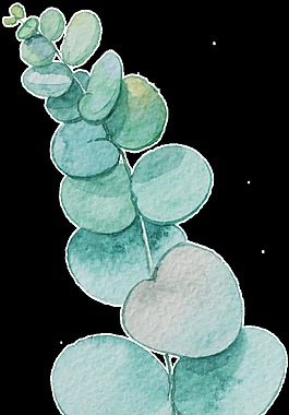藍綠色葉子裝飾素材
